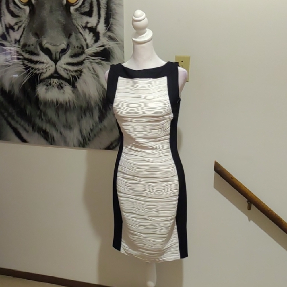 Calvin Klein Black and White Sleeveless Dress